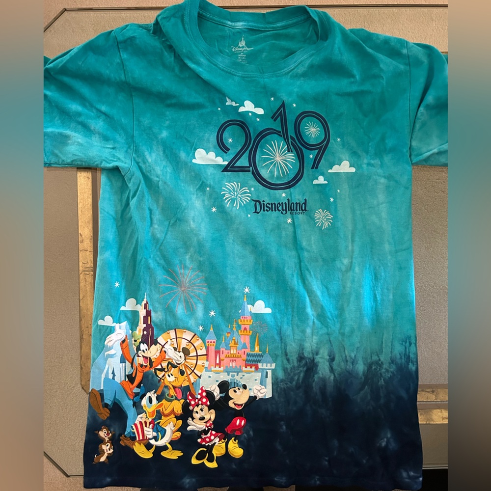 Disney Kids Teal Disneyland Graphic Tee